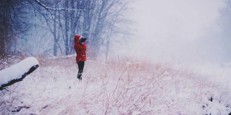 GCTAA会计培训：赋能专业人才，升级财税服务新高度