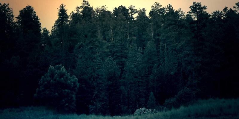 GCTAA权威解读：会计培训与税务咨询如何助力企业应对税务稽查与防范涉税风险