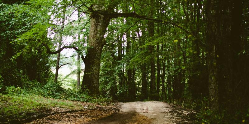 GCTAA财务课程与税务咨询：会计培训如何赋能职业发展