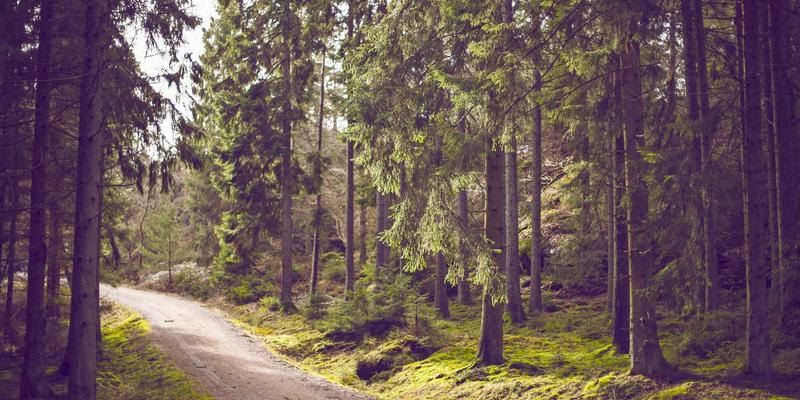 IPO审计中的财务规范与内控整改：会计调整与合规路径解析