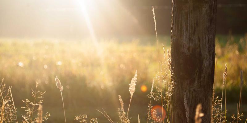 企业合并与长期股权投资核算实务：税务咨询与财务课程中的关键要点解析