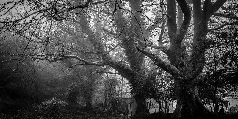 企业财务报表编制与分析专项培训：洞悉数据背后的经营真相