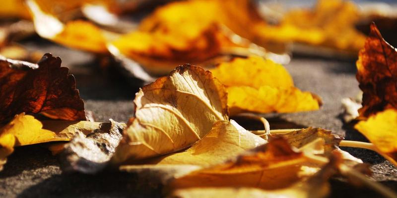 会计培训40：掌握税务咨询与财务课程，开启职业新篇章