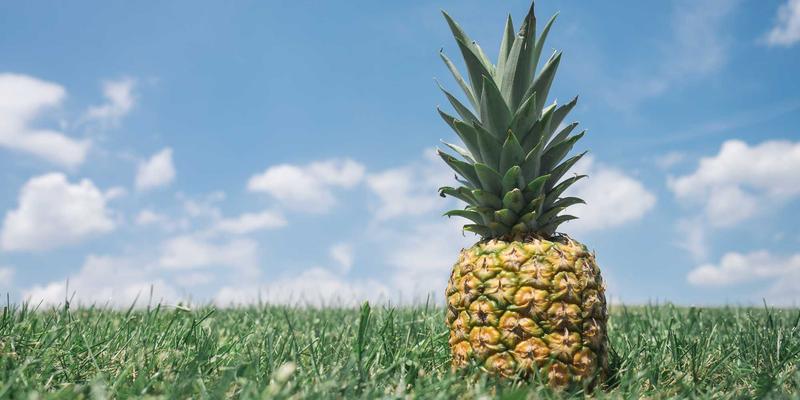 会计培训4.0时代：如何通过税务咨询与专业课程构建核心竞争力