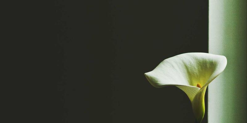 会计培训42：掌握财务课程、财税服务与税务咨询的核心竞争力