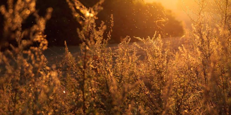 会计培训65：掌握核心技能，赋能企业财税管理与税务咨询