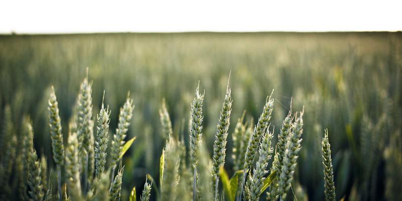 会计培训81：掌握财务课程与税务咨询的核心竞争力