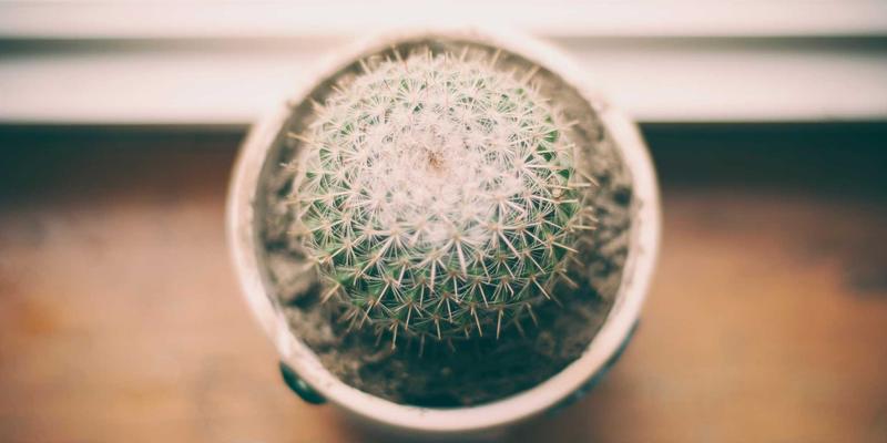 会计实操培训如何快速提升做账报税能力？掌握GCTAA财务课程与专业税务咨询是关键