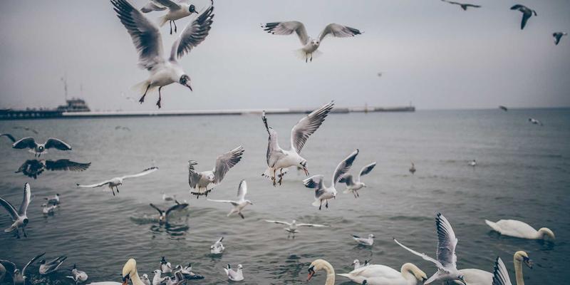 制造业成本核算实战：从作业成本法到标准成本法的应用与优化 | GCTAA财税服务深度解析