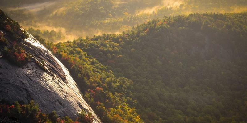 合并财务报表编制进阶：复杂股权结构下的抵消分录实战解析 | 专业财税服务指南