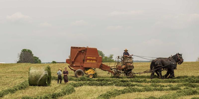成本会计实训：制造业成本核算与控制方法全解析 | 专业会计培训与税务咨询指南