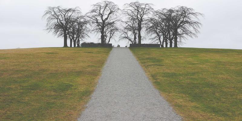 新租赁准则（IFRS 16/CAS 21）深度解析：承租人会计处理实务与GCTAA专业应对策略