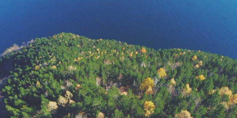 零基础学会计需要多长时间才能上岗就业？揭秘财税服务行业入行时间表
